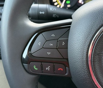 Jeep Renegade SUV Plug-In Seria 2/3 1.3 Turbo 4xe PHEV 190KM 2022 Jeep Renegade 4xe,Limited,4x4,Face Lift, zdjęcie 19