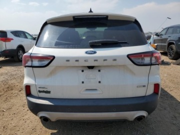 Ford Escape III 2020 Ford Escape Sel 2020 1.5l 1.5 Benzyna 181KM, zdjęcie 2