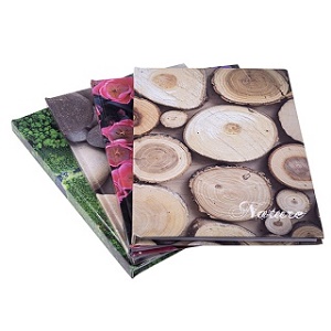 Brulion Nature A4 96 kartek kratka Office Products
