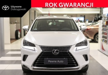Lexus NX I SUV Facelifting 300 238KM 2018 Lexus NX 300 Elegance AWD 2.0 Benzyna 238KM
