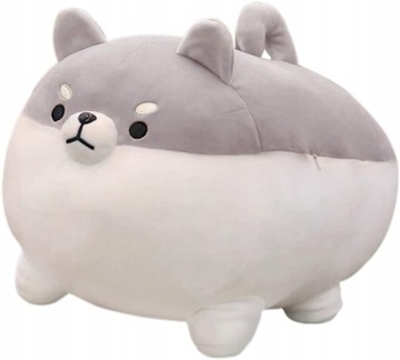 PLUSZAK CORGI SHIBA PIES INU DUŻA 50 CM