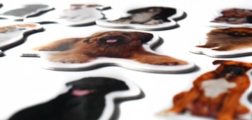 Магниты на холодильник Знакомство с ПОРОДАМИ СОБАК КАРТОН