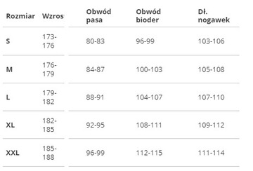 ЛЫЖНЫЕ БРЮКИ SALEWA ORTLES 3 GTX PRO # XXL