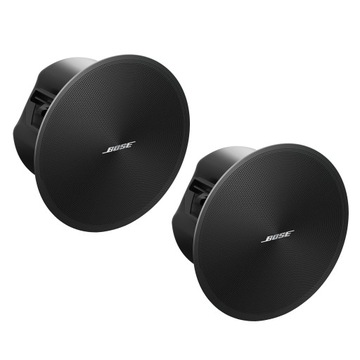Bose DesignMax DM3C