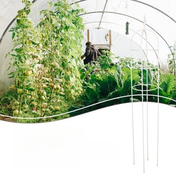 RAMA WSPINAJĄCA PERGOLA ROŚLINNA
