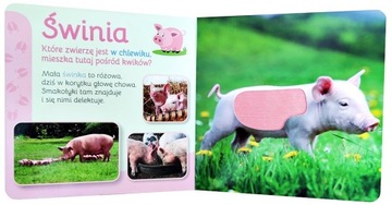 КНИГА СЕНСОРНАЯ КНИГА ОБЪЕМ МЕНЯ СТРАНА
