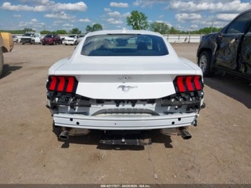Ford Mustang VI 2024 Ford Mustang Ecoboost Fastback 2024 2.3l 2.3 Benzyna 315KM, zdjęcie 4