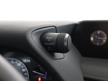 Lexus UX Crossover 250h 184KM 2019 Lexus UX Business niski przebieg alcantara navi, zdjęcie 32