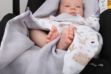 КРЕСЛО-ПЕРЕНАЛКА С МИСЛИНОВЫМ ОДЕЯЛОМ BABYMAM