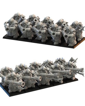 Citadel Guard