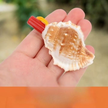 GWIZDEK DLA PTAKÓW, KACZKA, ŚMIESZNE GWIZDKI W KSZTAŁCIE MUSZLI SĘDZIEGO