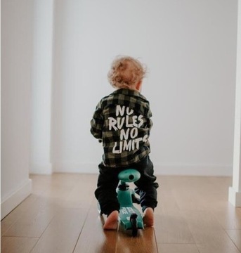 Scootandride Highwaykick1 Forest - Scooter и 2IN1 езда для детей 1-5