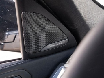 BMW X6 G06 SUV Facelifting 3.0 30d 298KM 2025 BMW X6 xDrive30d Sport Suv 3.0 (298KM) 2025, zdjęcie 12