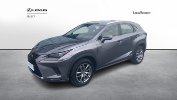 Lexus NX I SUV Facelifting 300h 197KM 2021 Lexus NX 300h Business Edition AWD I (2014-2021)