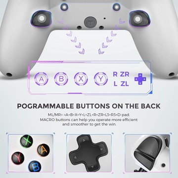 Беспроводной контроллер Nintendo Switch ECHTPower