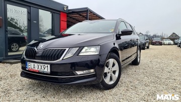 Skoda Octavia III Kombi Facelifting 2.0 TDI 150KM 2019 Skoda Octavia 2.0TDI 150KM Navi bi xenony asystent el klapa 100 bezwypadek, zdjęcie 18