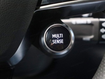 Renault Austral 1.2  E-Tech Full Hybrid 200KM 2024 Iconic 1.2 E-Tech 200KM /Panoramiczny dach, Harman Kardon, zdjęcie 8