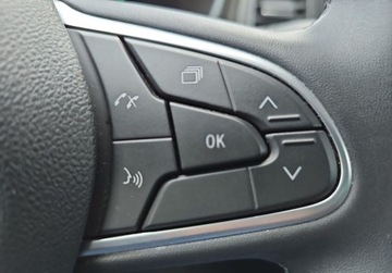 Renault Megane IV GrandCoupe Facelifting 1.3 TCe 140KM 2024 Renault Megane PL Salon Dealer Renault Grupa Adamowscy 1.3 Benzyna 140KM, zdjęcie 14