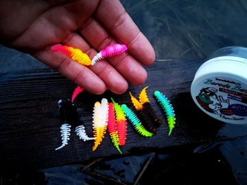 14 szt. mix kolorów AYRA Junior - Tanta Boroda Baits +2 szt. Larwa Killer!