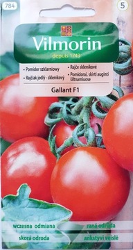 POMIDOR SZKLARNIOWY GALLANT F1- 0,2g VILMORIN