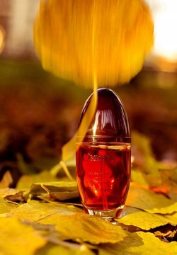 Calvin Klein Obsession 100 мл парфюмированная вода для женщин EDP