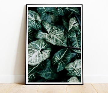 КАРТИНЫ ПОСТЕРЫ НАБОР 3 ШТ. А4 РАСТЕНИЯ ЛИСТЬЯ