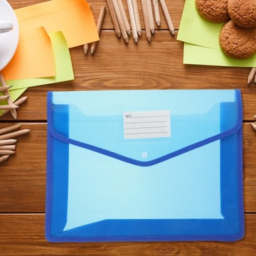 СУМКИ ДЛЯ ДОКУМЕНТОВ А4 А4 С ЗАКРЫТЫМ КОРПУСОМ ПО ТЕМЕ