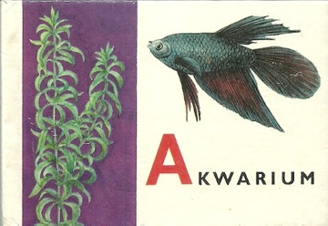 Akwarium Ladislav Andódi Svec Jan ryby rybki