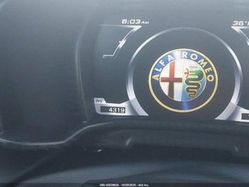 Alfa Romeo 4C 2016 Alfa Romeo 4C 2016 ALFA ROMEO 4C SPIDER 1.7 Benzyna 237KM, zdjęcie 10