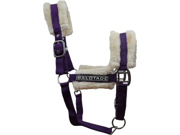 Обмен валюты с мягкой валютой с балотбадным комфортом розовый початок