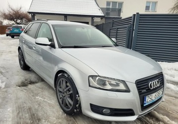 Audi A3 8P Hatchback 3d 2.0 TDI CR 170KM 2011 Audi A3 Sportback Wymieniony rozrzad Nowe tarcze, klocki. 2.0 Diesel, zdjęcie 2