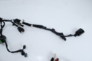 Главный жгут проводов HONDA CB 125 F GLR 15-