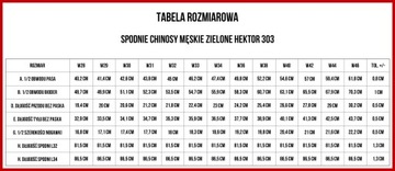 BIG STAR SPODNIE CHINOSY MĘSKIE HEKTOR 303 W33 L32