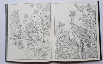 Antystresowe ekskluzywne kolorowanki dla dorosłych