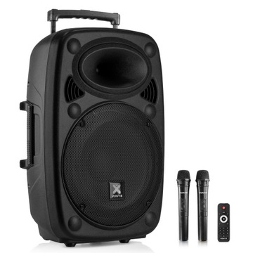 Порт динамика для активной вечеринки 15 дюймов, 1000 Вт, 2 микрофона, УВЧ-батарея