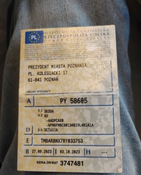 Skoda Octavia IV Liftback 1.5 TSI EVO 150KM 2023 Skoda Octavia 2023r, SALON POLSKA. 1.5 Benzyna. Uszkodzona. Poobijana. VAT, zdjęcie 19