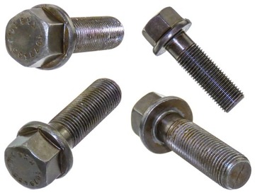 ŚRUBA ZACISKU HAMULCOWEGO M20x2x65MM VOLVO 1079435