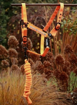 Kantar z uwiązem Imperial Riding rozmiar COB