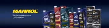 MANNOL Motor Flush 9900 Flush