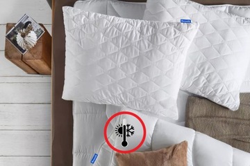 ВСЕСЕЗОННОЕ ОДЕЖДА 200x220 НАБОР 2 ПОДУШКИ 70x80