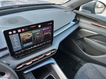 Cupra Terramar 2025 Cupra Terramar 2.0 TSI 204 KM DSG 4Drive, zdjęcie 13