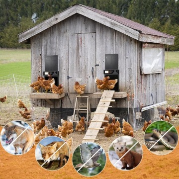 АВТОМАТИЧЕСКАЯ ДВЕРЬ ПТИЧНИКА С ДАТЧИКОМ СВЕТА ПРИВЕЛО ДИСПЛЕЙ ДИСТАНЦИОННОГО УПРАВЛЕНИЯ