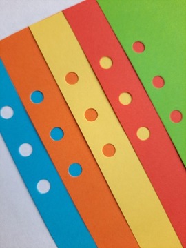 ЦВЕТНАЯ вставка в блокнот-планировщик 6 А5 INTENSIV RINGS