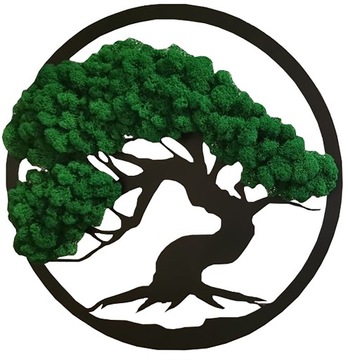 PREZENT ŻYWY OBRAZ DRZEWKO CHROBOTEK BONSAI 48cm