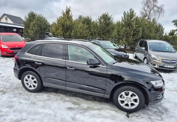 Audi Q5 I SUV Facelifting 2.0 TDI clean diesel 190KM 2015 Audi Q5 2,0 190 KM Bezwypadkowy Po Duzym Serwisie 2.0 Diesel, zdjęcie 20