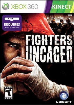 KINECT Fighters Uncaged ____ uliczne bijatyki na X360