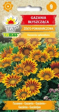 GAZANIA BŁYSZCZĄCA ŻÓŁTO POMARAŃCZOWA 0,5 g 'T