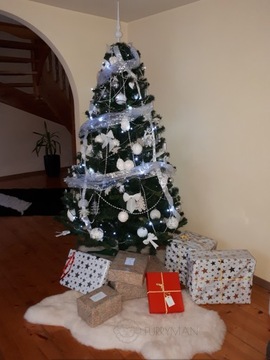 Натуральная белая овчина - Англичанка - L