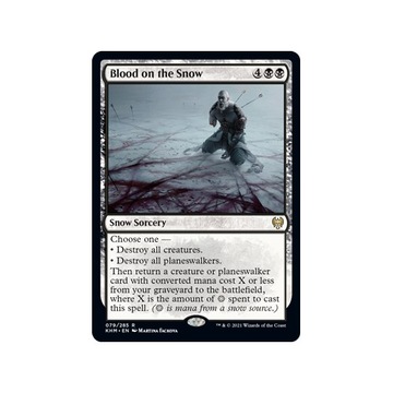 MTG 2x Blood on the Snow (Rare)