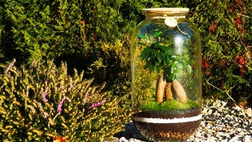 Банка с крышкой с ГРАВИРОВКОЙ 42 см ЛЕС В БАНКЕ